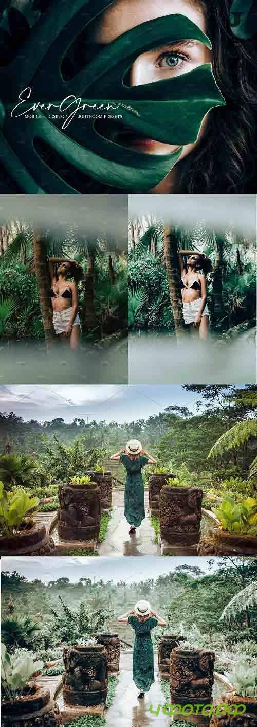 Evergreen Lightroom Presets | Bundle 4585358
