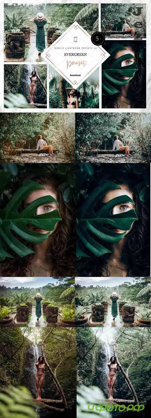 Evergreen Mobile Lightroom Presets - 4585360