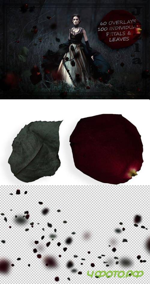 Blood Rose Petals and Black Leaves Overlays