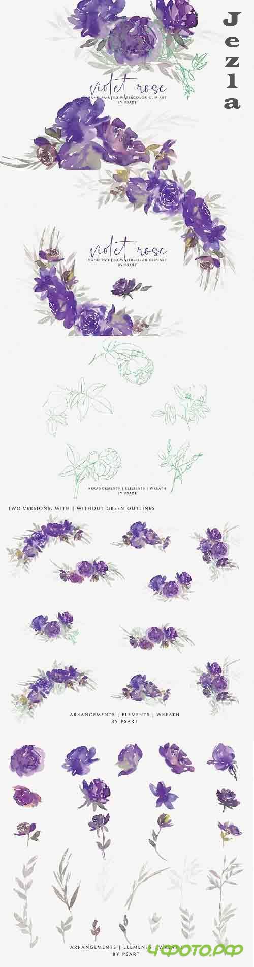 Watercolor Violet Rose Clipart Set - 4928909