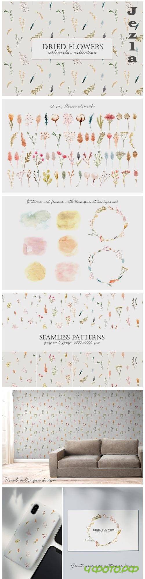 Dried Flowers. Watercolor Collection - 4067050