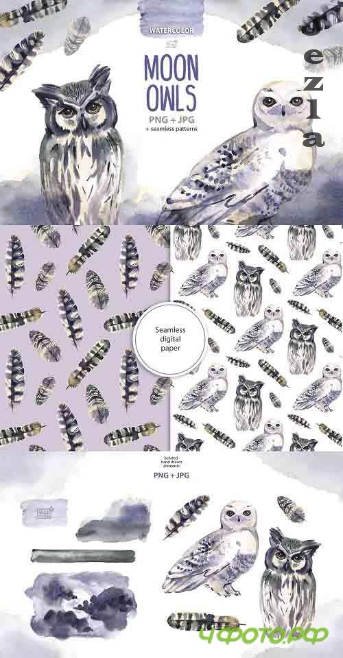 Moon owls cliparts - 4939752