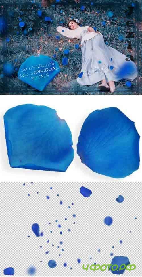 Blue Petals Overlays