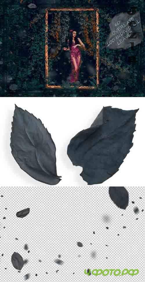 Bluish Leaves Overlays 