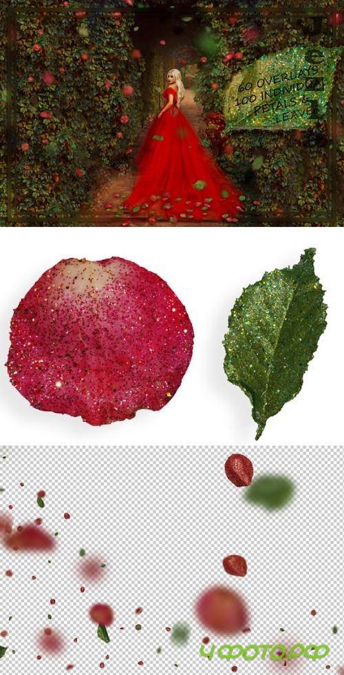 Glitter Red Petals & Leaves Overlays