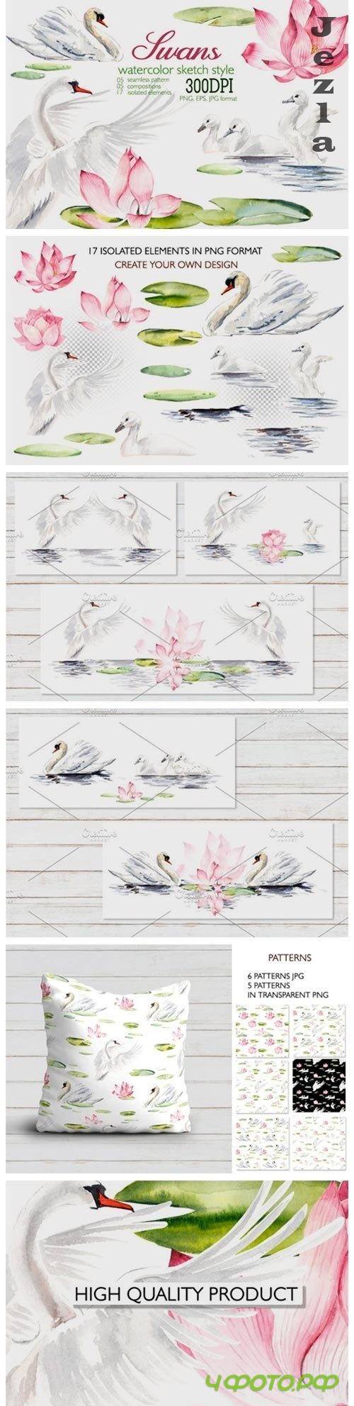 Watercolor swans - 351891
