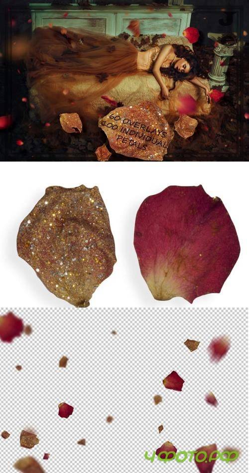 Golden & Red Rose Petals Overlays Golden & Red Rose Petals Overlays