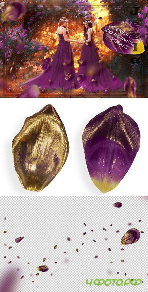 Gold & Purple Tulip Petals Overlays