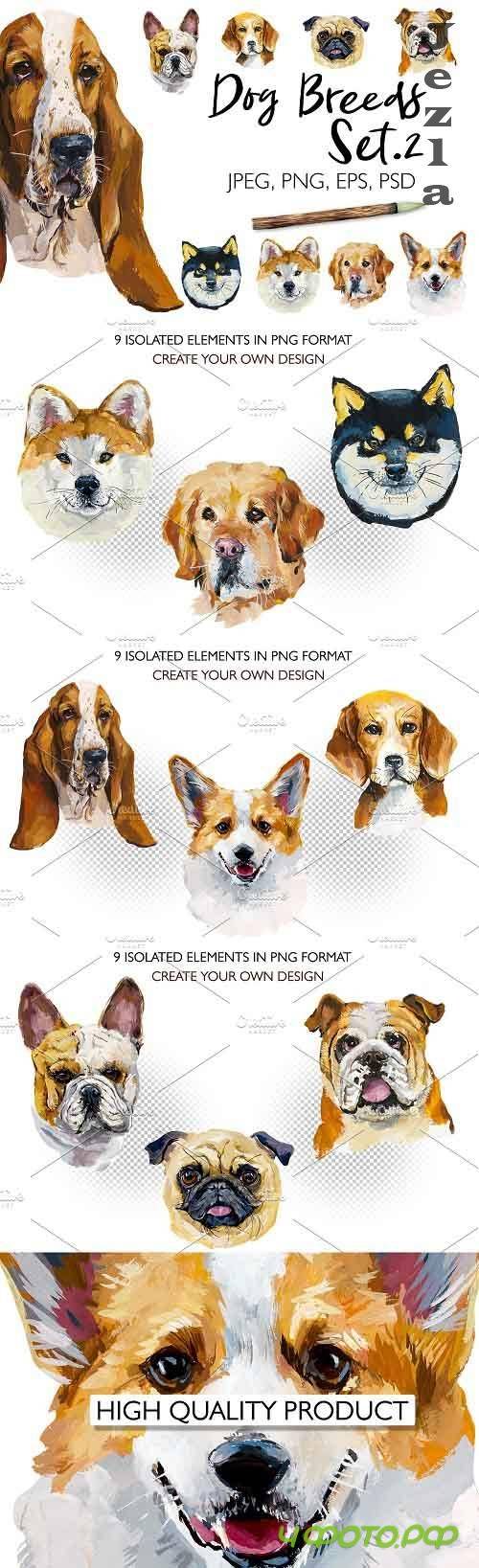 Dog breeds. Set 2 - 4757673