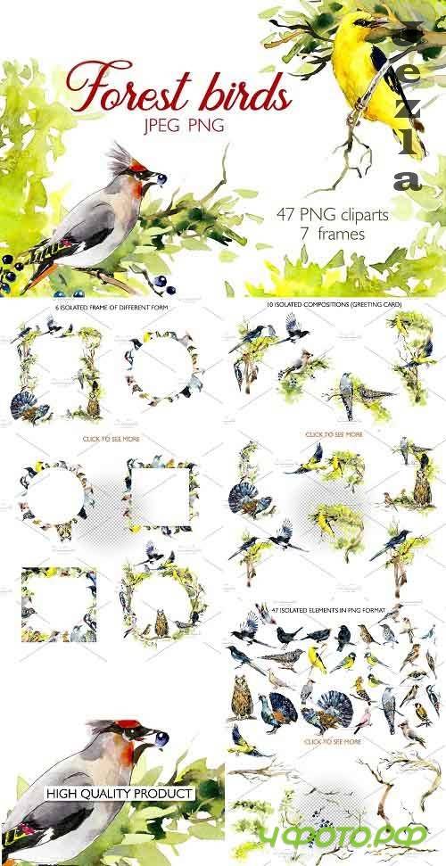 Watercolor forest birds. Frames - 3631731 Watercolor forest birds. Frames - 3631731