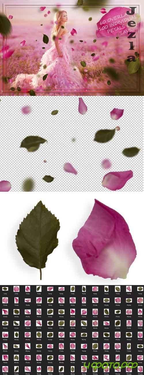 Vibrant Petals & Leaves Overlays