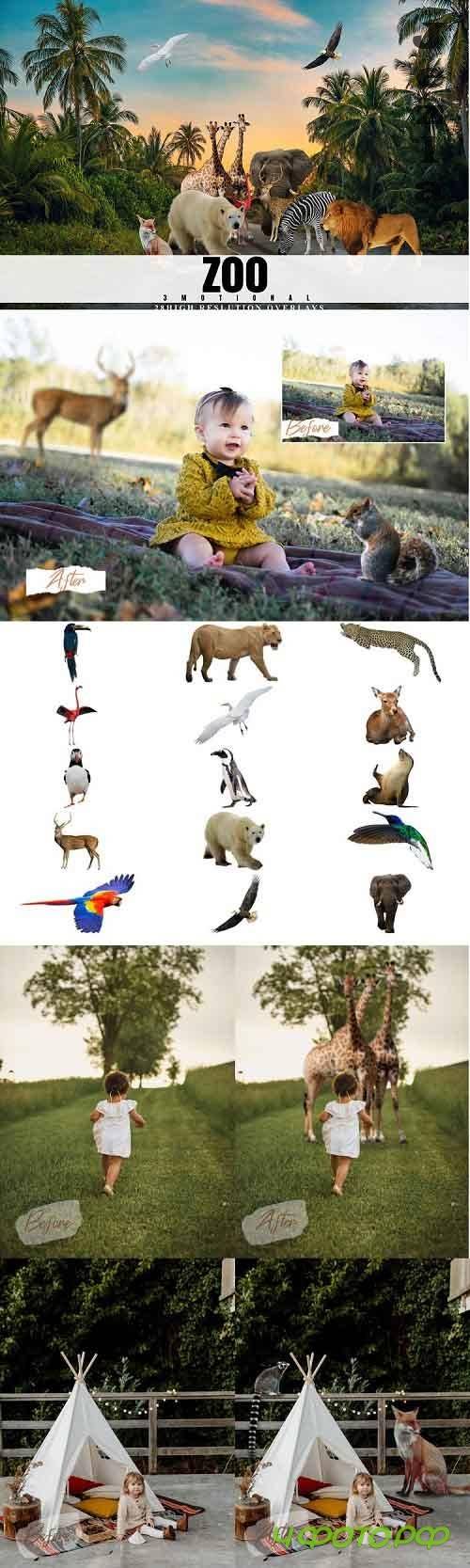28 Zoo Overlays, Realistic Wild Animal Photoshop Overlay - 643848