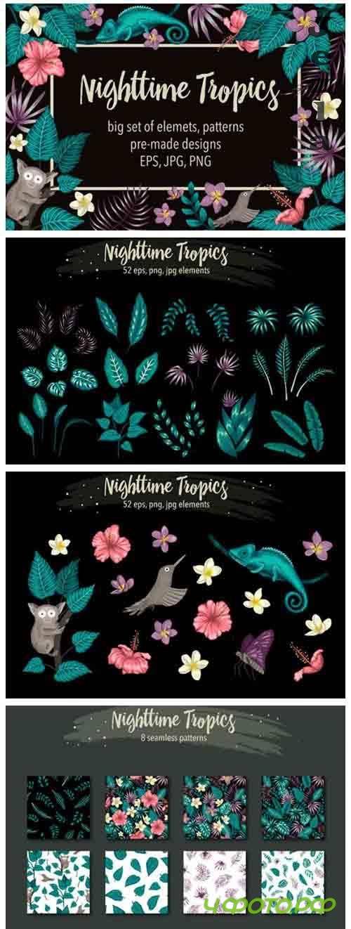 Nighttime Tropics - 4263032