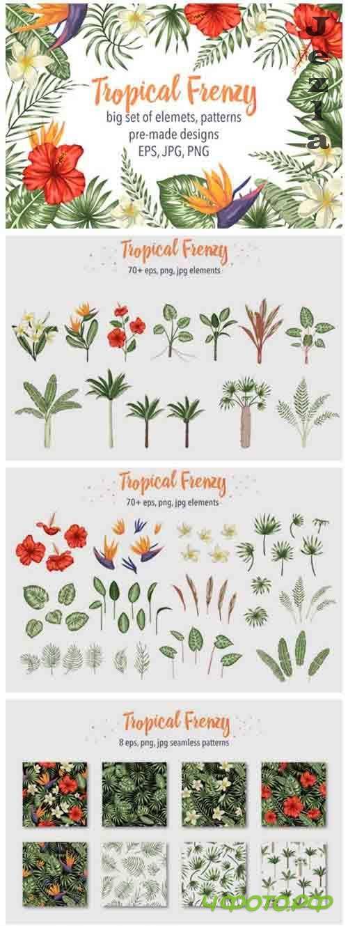 Tropical Frenzy - 4263125