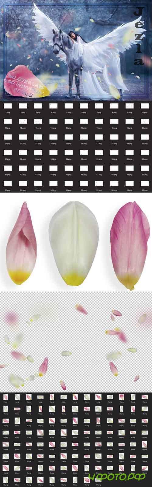Mix Tulip Petals Overlays