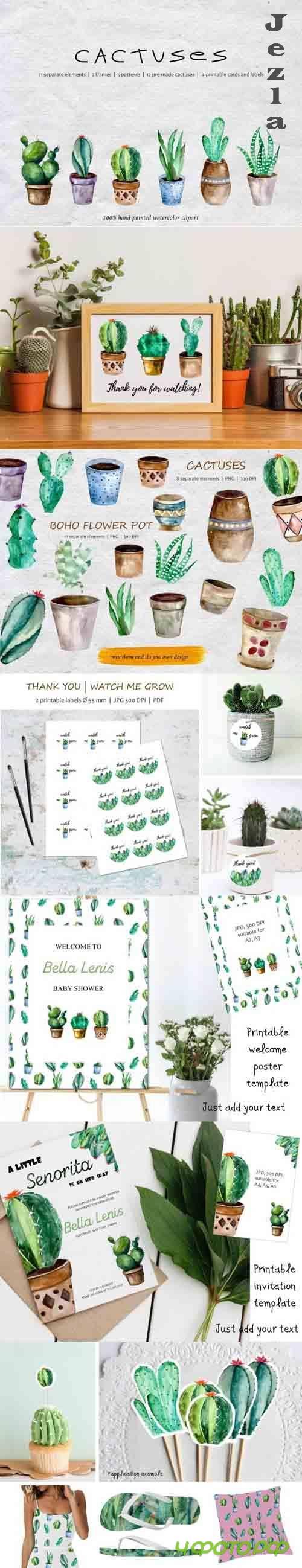 Watercolor Cacti, Watercolor Succulent Graphic
