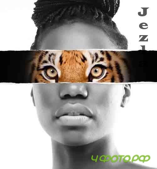 Torn Paper Photo Overlay Effect 364824333
