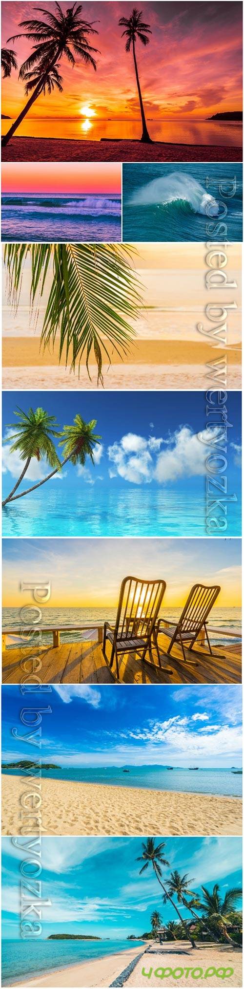Beautiful tropical beach sea, palm tree