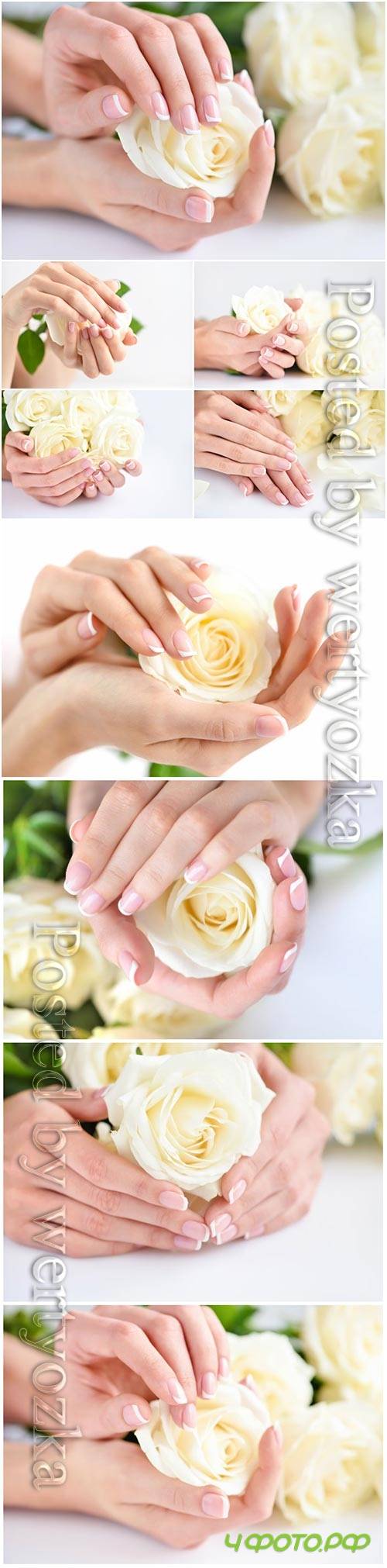 Hands of a woman with beautiful french manicure