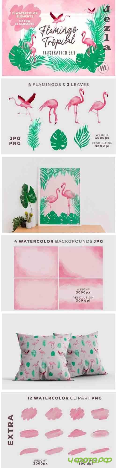 Flamingo Tropical Illustration Set