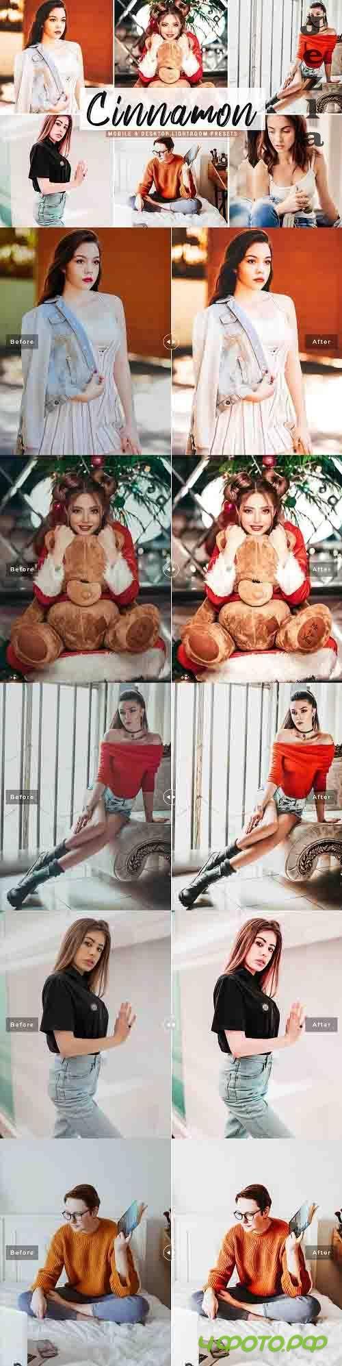 Cinnamon Pro Lightroom Presets - 5237231 - Mobile & Desktop