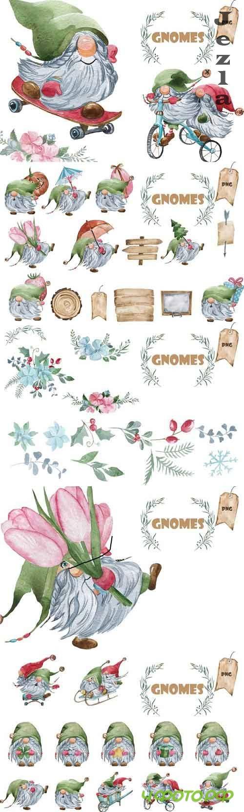 20 gnomes - 784100