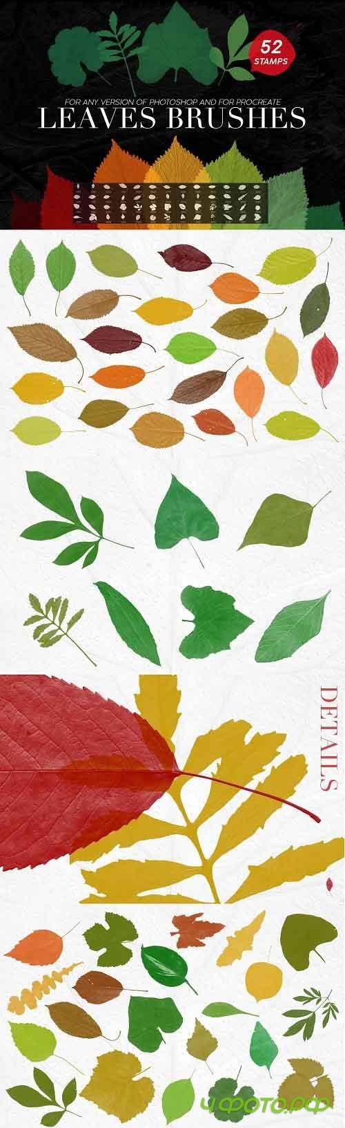 Leaves Photoshop Stamp Brushes - 5238321