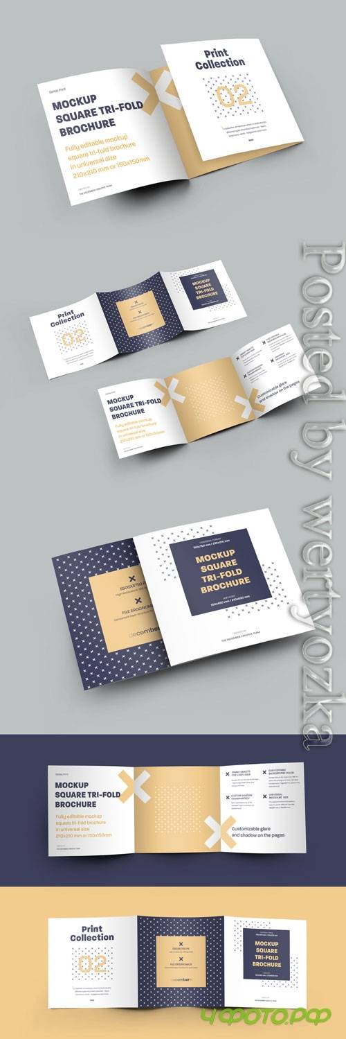 5 Mockup Set Square Tri-Fold Brochures