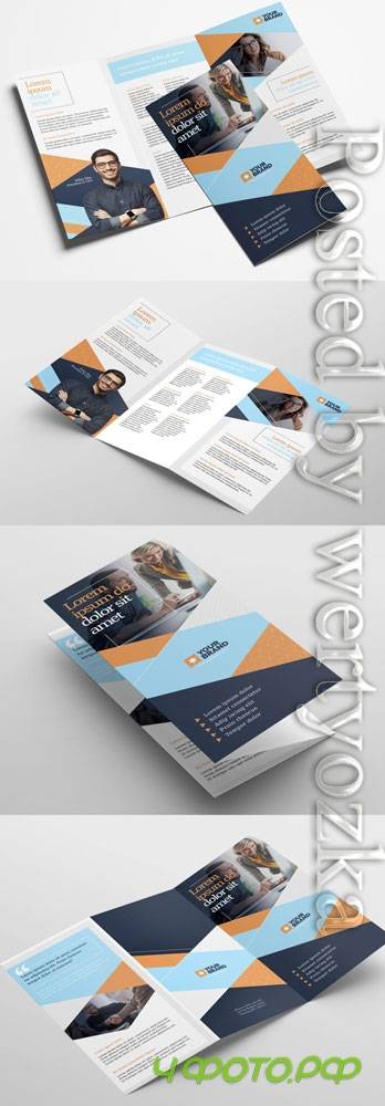 Business Trifold Brochure Layout 322611438