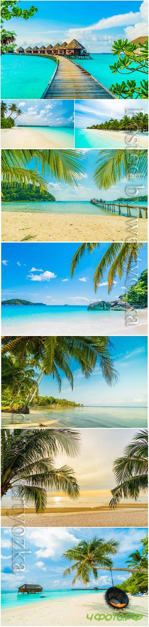 Beautiful tropical beach sea with  palm tree paradise island