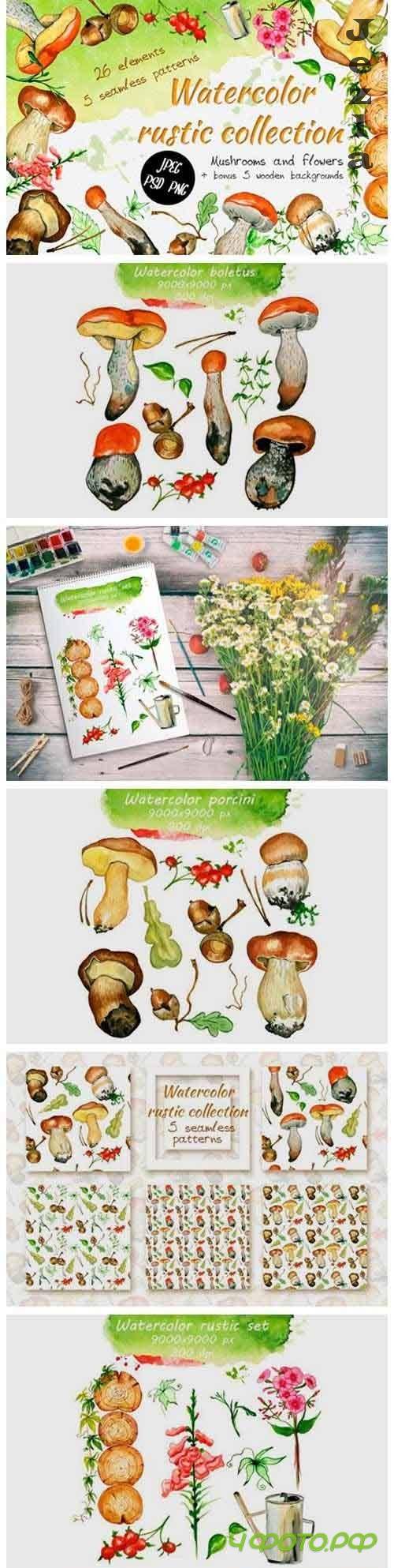 Watercolor rustic set with Mushrooms - 818188