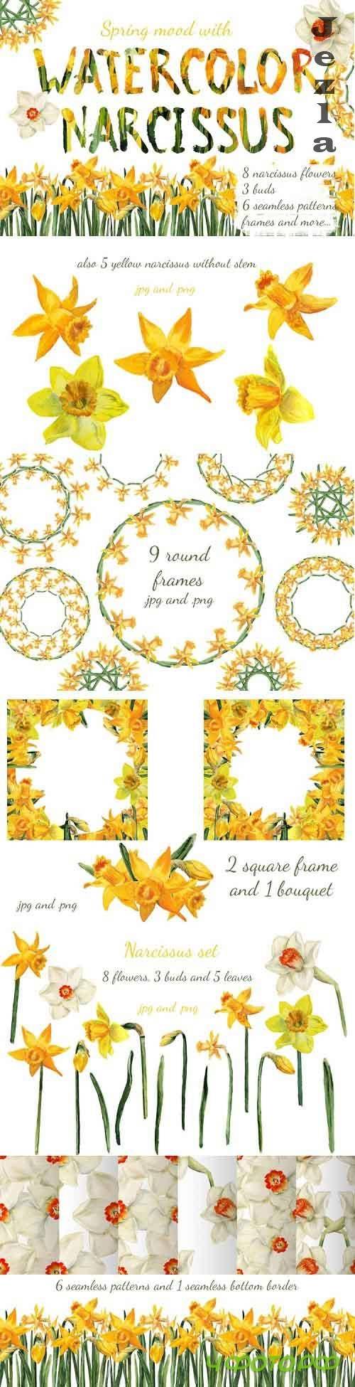 Watercolor narcissuses  - 777436