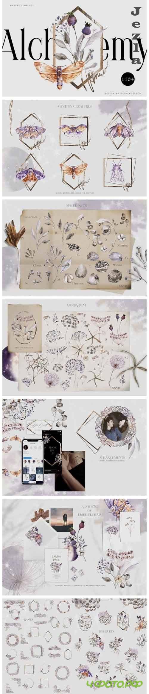 Watercolor dried flower bouquet clipart Boho floral elements - 985145