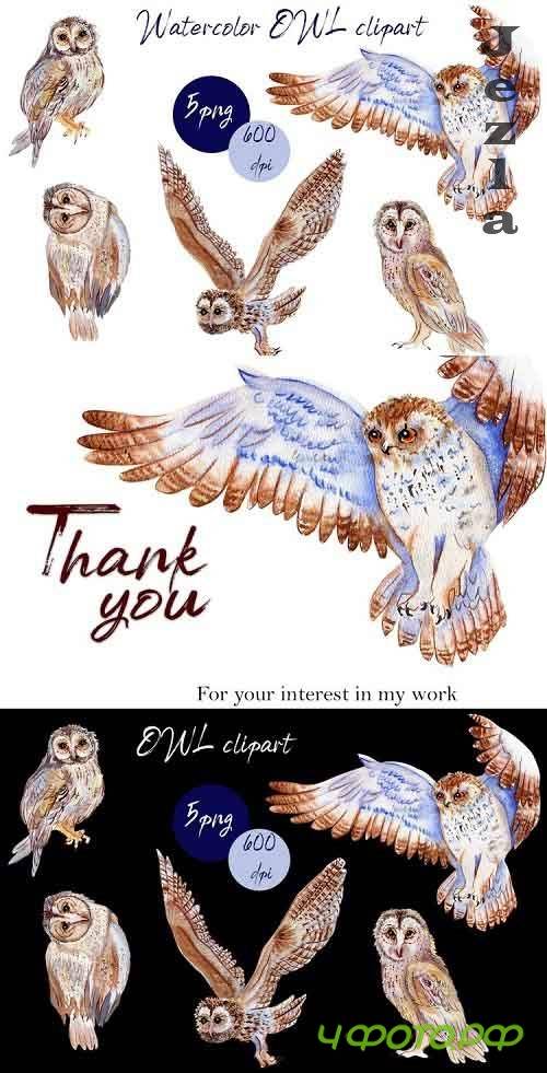 BOHO owl clipart.Watercolor woodland - 1018807