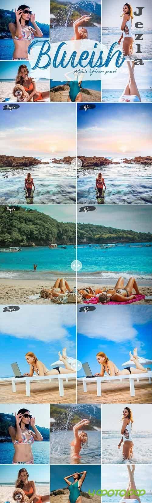 Blueish Lightroom Presets - 5630593