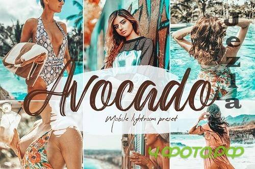 Avocado Lightroom Presets - 5650547
