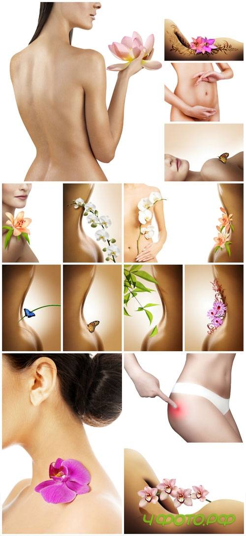 Beautiful female figures stock photo