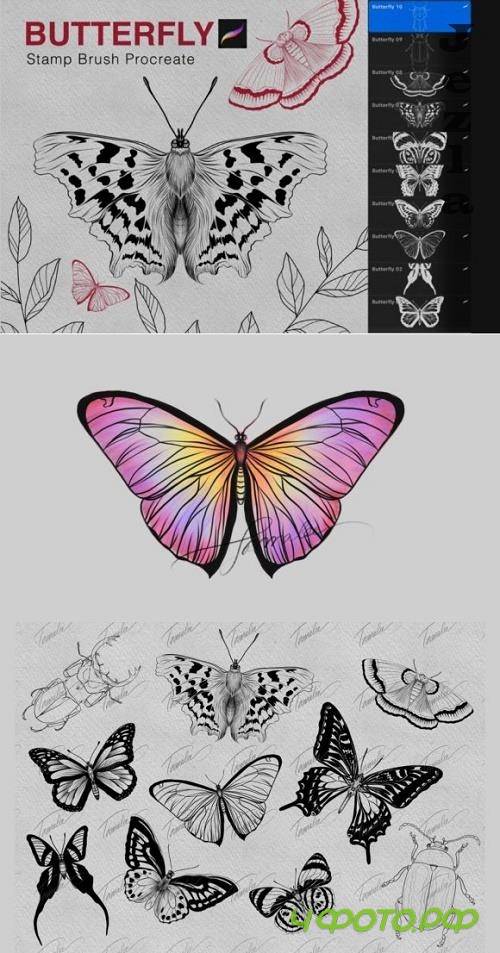 Butterfly Procreate Stamps Brushes