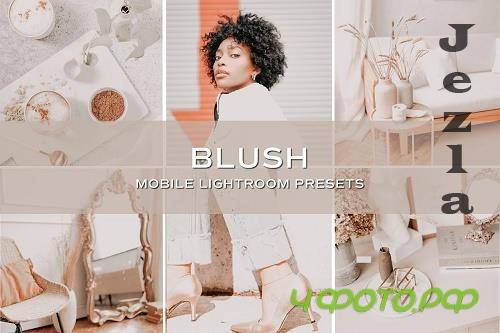 CreativeMarket - 5 Blush Lightroom Presets 5701707