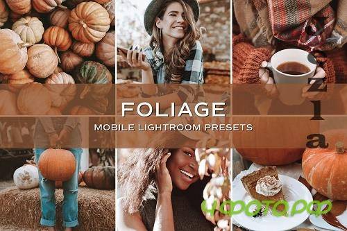 CreativeMarket - 5 Fall Lightroom Presets 5701789 CreativeMarket - 5 Fall Lightroom Presets 5701789