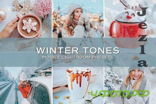 CreativeMarket - 5 Winter Tones Lightroom Presets 5698860