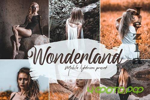 Wonderland Lightroom Presets - 5676554