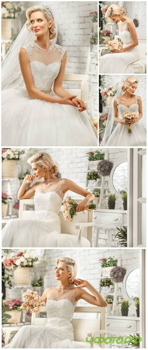 Beautiful bride posing in studio stock photo