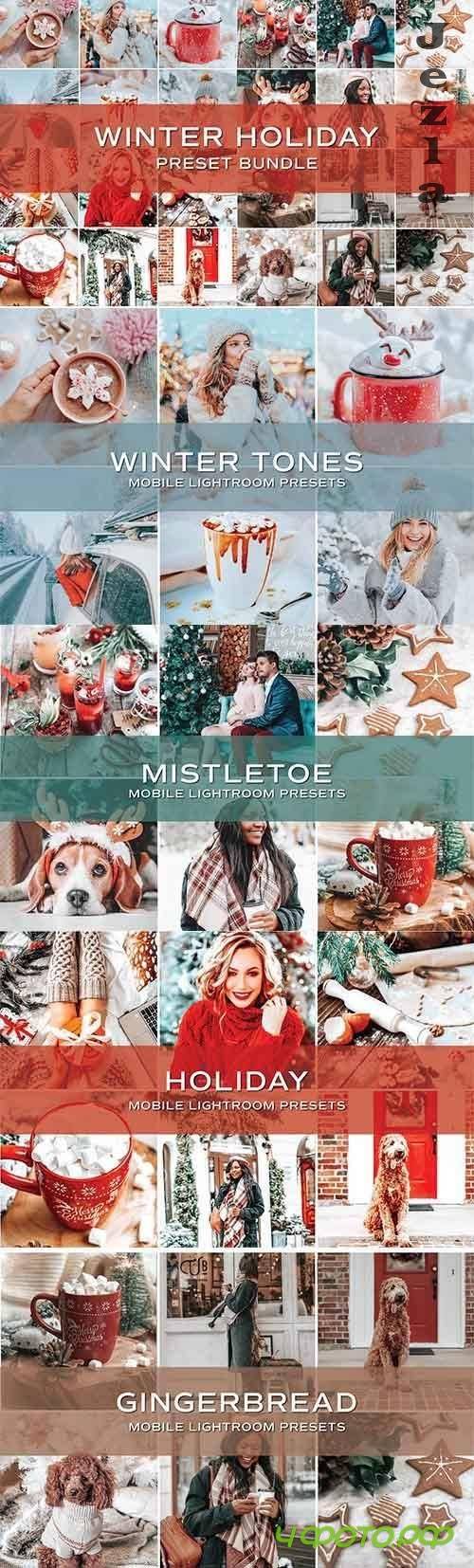 CreativeMarket - 20 Holiday Lightroom Preset Bundle 5701823
