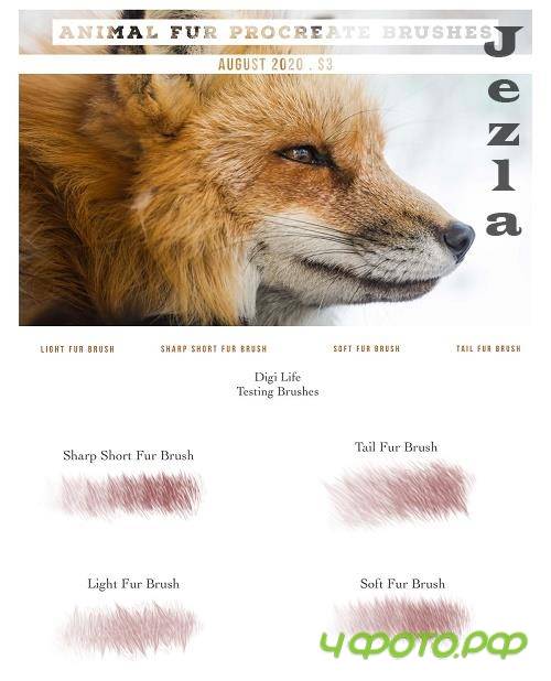 Animal Fur Procreate Brushes - 5322493