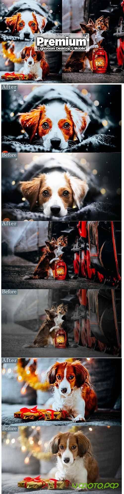 Premium Lightroom Presets Mobile and Desktop