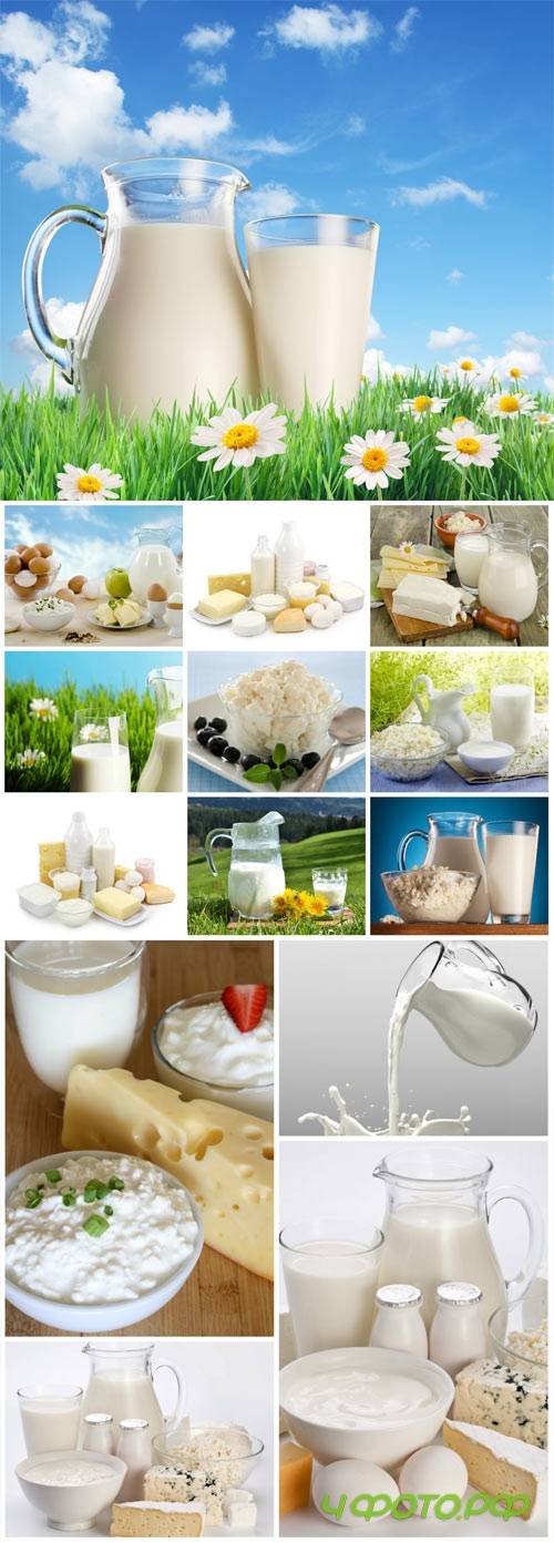 Cottage cheese, milk and dairy products stock photo