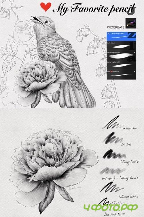 Favorit Pencil Procreate