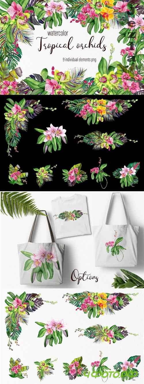 Watercolor orchids bouquet clipart - 1188424