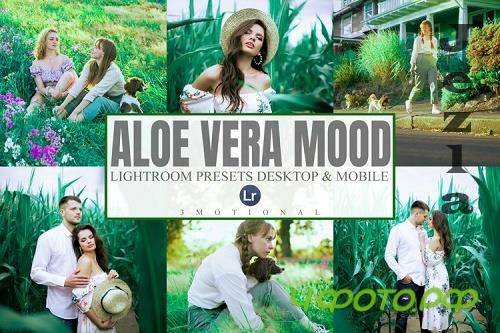 7 Aloe Vera Mood Lightroom Mobile And Desktop Presets - 1205986 7 Aloe Vera Mood Lightroom Mobile And Desktop Presets - 1205986